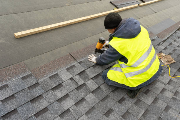 Best Roof Gutter Cleaning  in Hamlin, WV