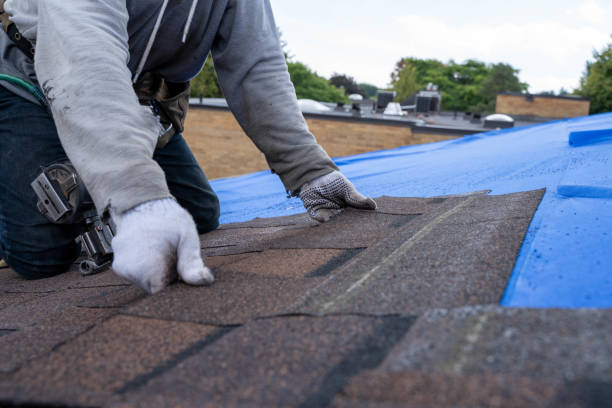 Best Commercial Roofing Services  in Hamlin, WV