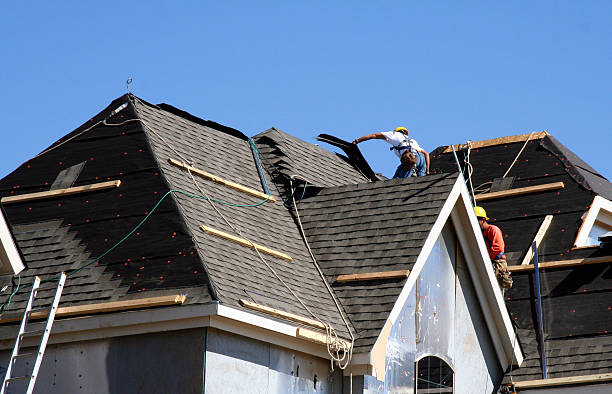 Best Roof Leak Repair  in Hamlin, WV