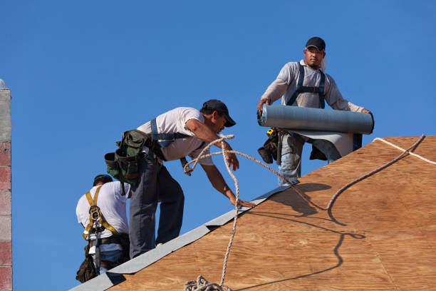 Best Roofing Contractors for Homes  in Hamlin, WV