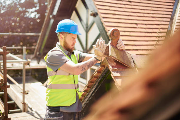 Best Roof Leak Repair  in Hamlin, WV