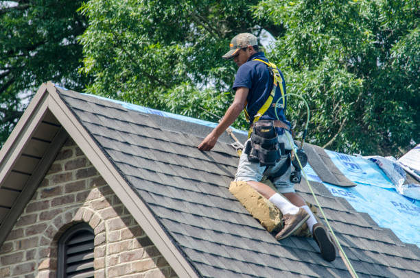 Best Flat Roof Repair Services  in Hamlin, WV